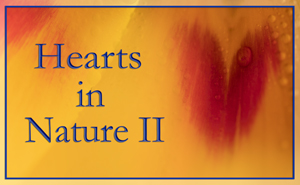 2019Â HeartsÂ InÂ NatureÂ II