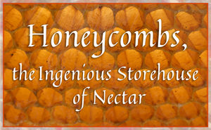 Honeycombs