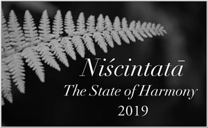 Niscintata 2019