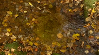 Fall 4