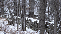 Winter 3