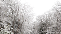 Winter 4