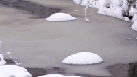 Winter 8