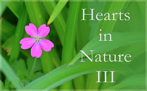 2020 Hearts In Nature Gallery III