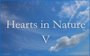 Hearts in Nature Gallery V