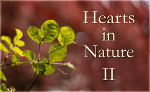 2021 Hearts In Nature Gallery II