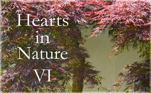 Hearts in Nature Gallery VI