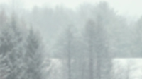 Winter 3
