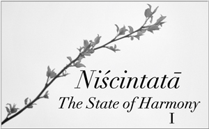 Niscintata - The State of Harmony I