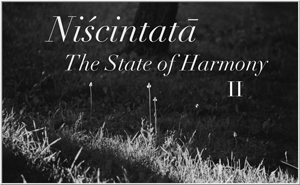 Niscintata - The State of Harmony II