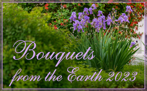 Bouquets from the Earth