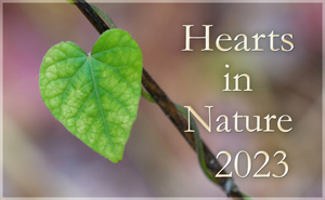 Hearts in Nature