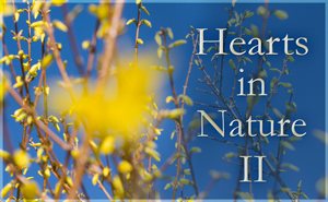 Hearts In Nature Gallery II