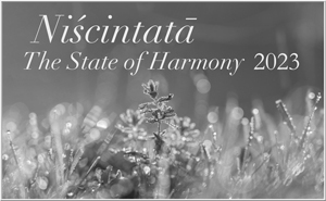 Niscintata