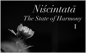 Niscintata - The State of Harmony I