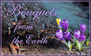 2025: Bouquets in Nature