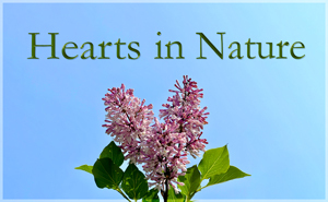 Hearts in Nature