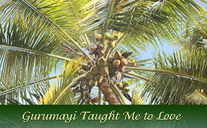 Gurumayi Taught Me to Love