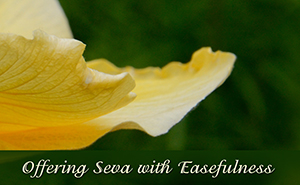 Offering Seva with Easefulness