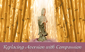 Replacing Aversion with Compassion