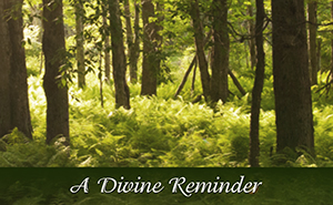 A Divine Reminder
