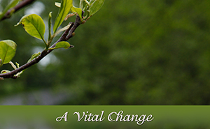 A Vital Change