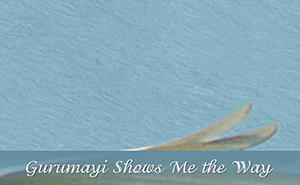 Gurumayi Shows Me the Way