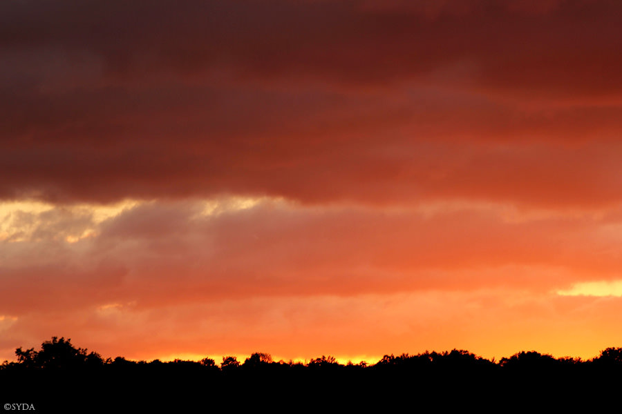 morning dawn