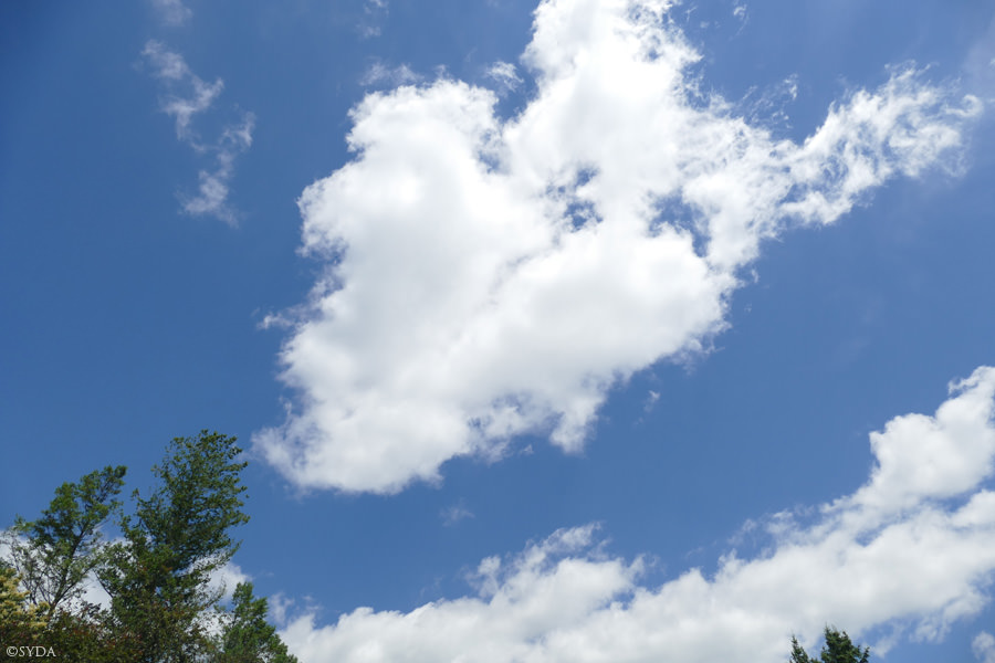Heart shaped cloud
