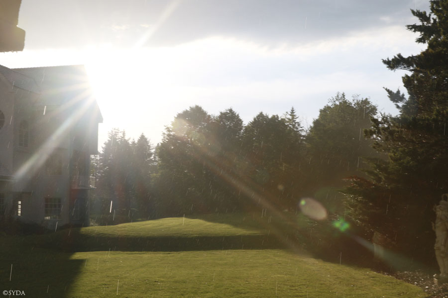 sunshine