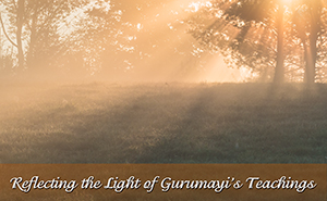 Reflecting the Light of Gurumayi's Teachings