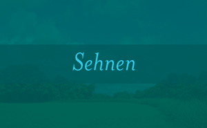 Sehnen