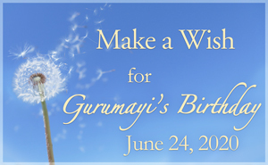 Make a Wish