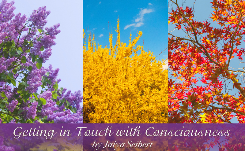 Getting in Touch with Consciousness
