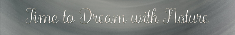 Time to Dream with Nature