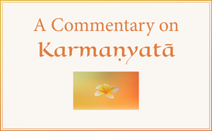 Commentary on Karmanyata