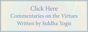 Commentaries