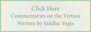 Commentaries