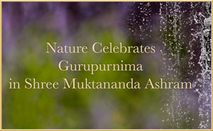 
	Nature Celebrates Gurupurnima in Shree Muktananda Ashram