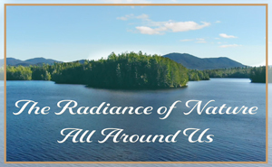 The Radiance of Nature All Around Us