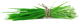 motif