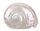 motif