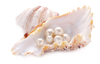 motif