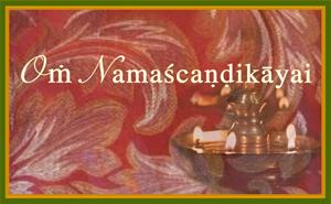 Navaratri Gallery IV