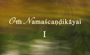 Navaratri Gallery I