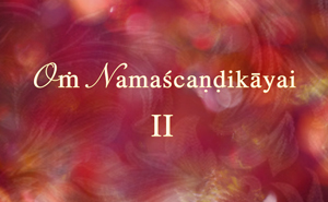 Navaratri Gallery II