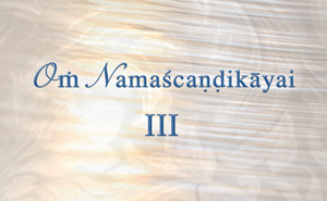 Navaratri Gallery III