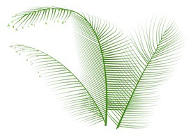 symbol