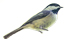 symbol