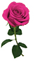 symbol
